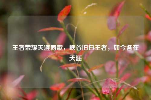 王者荣耀天涯同歌,峡谷旧日王者,如今各在天涯