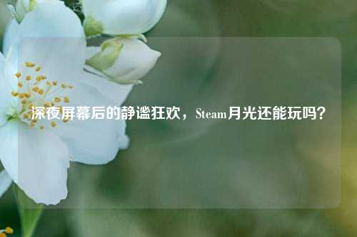 深夜屏幕后的静谧狂欢,Steam月光还能玩吗?