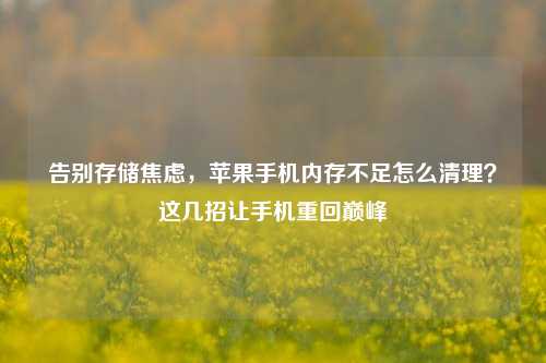 告别存储焦虑,苹果手机内存不足怎么清理?这几招让手机重回巅峰