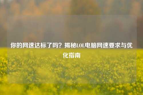 你的网速达标了吗?揭秘LOL电脑网速要求与优化指南