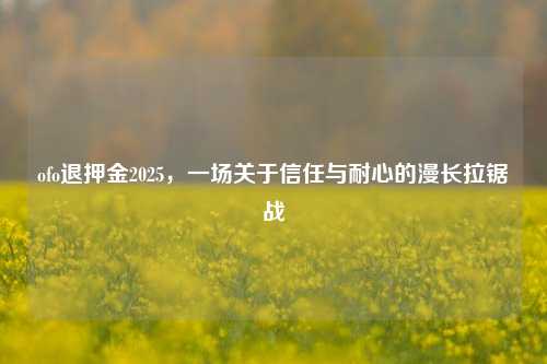 ofo退押金2025,一场关于信任与耐心的漫长拉锯战