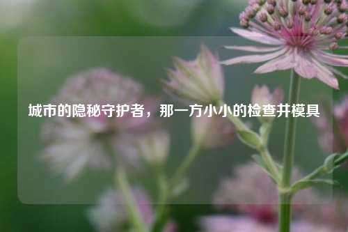 城市的隐秘守护者,那一方小小的检查井模具