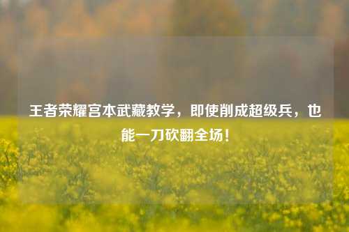 王者荣耀宫本武藏教学,即使削成超级兵,也能一刀砍翻全场!