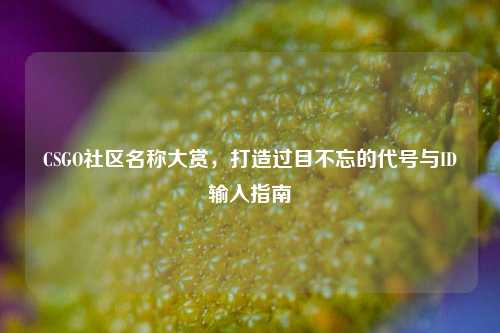CSGO社区名称大赏,打造过目不忘的代号与ID输入指南