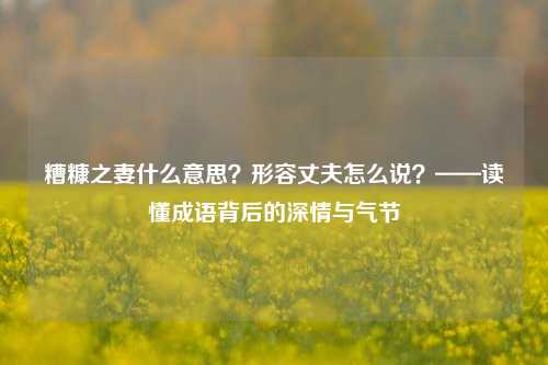 糟糠之妻什么意思?形容丈夫怎么说?——读懂成语背后的深情与气节