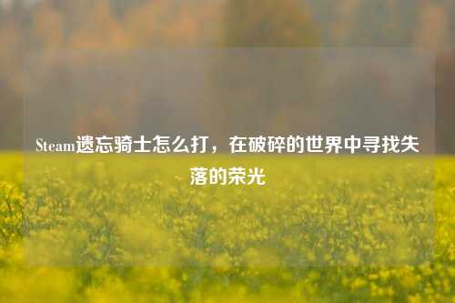 Steam遗忘骑士怎么打,在破碎的世界中寻找失落的荣光