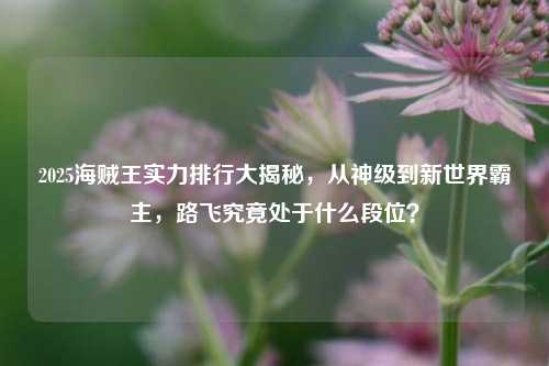 2025海贼王实力排行大揭秘,从神级到新世界霸主,路飞究竟处于什么段位?