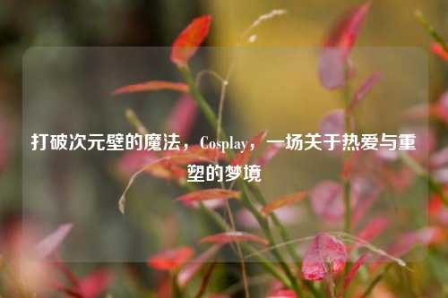 打破次元壁的魔法,Cosplay,一场关于热爱与重塑的梦境