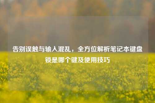 告别误触与输入混乱,全方位解析笔记本键盘锁是哪个键及使用技巧