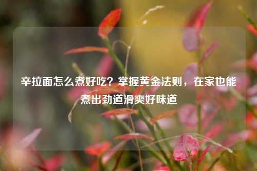 辛拉面怎么煮好吃?掌握黄金法则,在家也能煮出劲道滑爽好味道