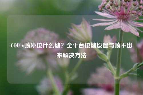 COD16喷漆按什么键?全平台按键设置与喷不出来解决方法