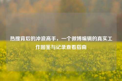 热搜背后的冲浪高手,一个微博编辑的真实工作图鉴与记录查看指南