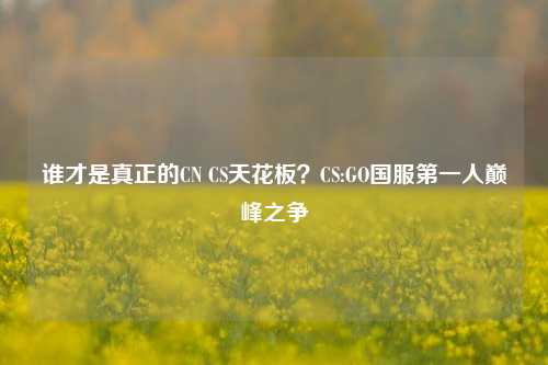 谁才是真正的CN CS天花板?CS:GO国服第一人巅峰之争