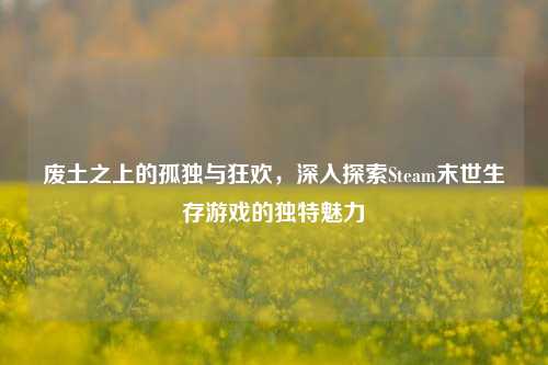 废土之上的孤独与狂欢,深入探索Steam末世生存游戏的独特魅力