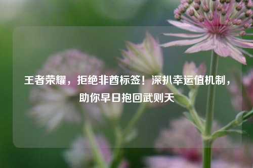 王者荣耀,拒绝非酋标签!深扒幸运值机制,助你早日抱回武则天