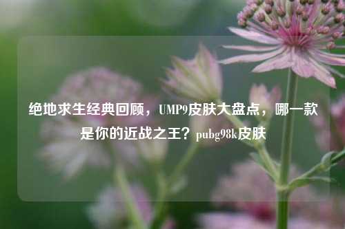 绝地求生经典回顾,UMP9皮肤大盘点,哪一款是你的近战之王?pubg98k皮肤