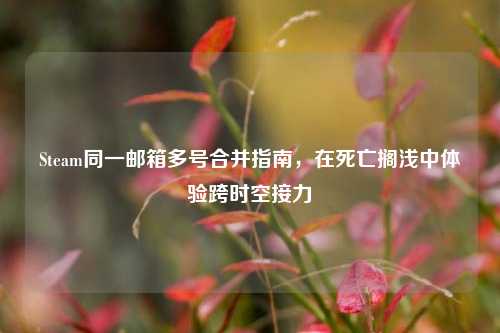 Steam同一邮箱多号合并指南,在死亡搁浅中体验跨时空接力