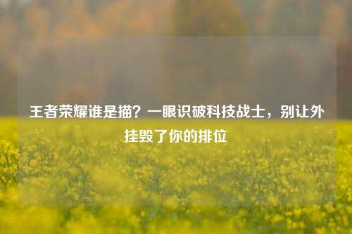 王者荣耀谁是描?一眼识破科技战士,别让外挂毁了你的排位