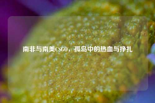 南非与南美CSGO,孤岛中的热血与挣扎