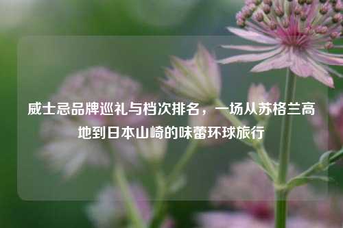 威士忌品牌巡礼与档次排名,一场从苏格兰高地到日本山崎的味蕾环球旅行