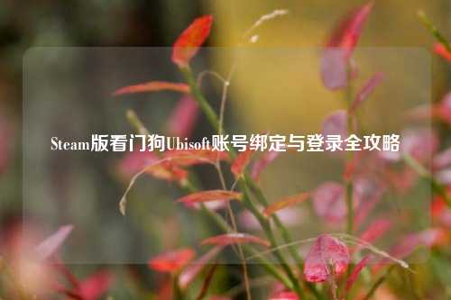 Steam版看门狗Ubisoft账号绑定与登录全攻略