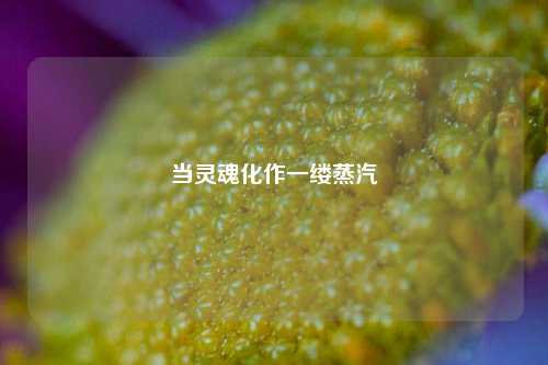 当灵魂化作一缕蒸汽