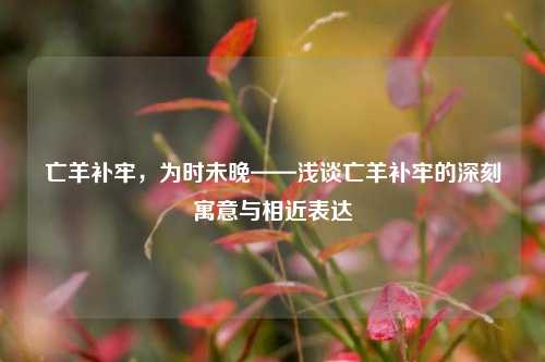亡羊补牢,为时未晚——浅谈亡羊补牢的深刻寓意与相近表达