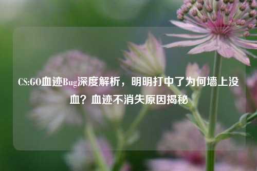 CS:GO血迹Bug深度解析,明明打中了为何墙上没血?血迹不消失原因揭秘