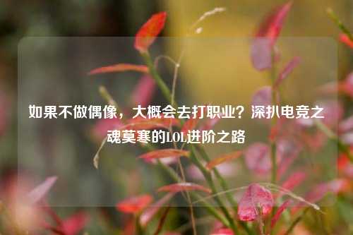 如果不做偶像,大概会去打职业?深扒电竞之魂莫寒的LOL进阶之路