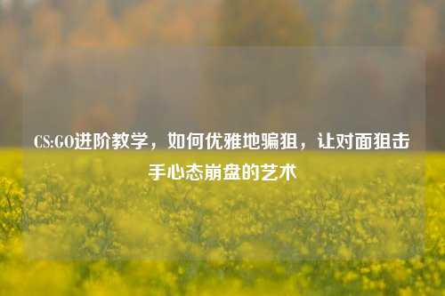 CS:GO进阶教学,如何优雅地骗狙,让对面狙击手心态崩盘的艺术