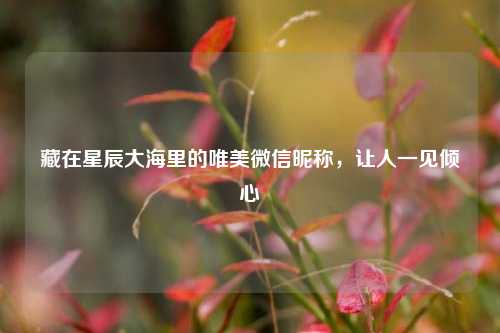 藏在星辰大海里的唯美微信昵称,让人一见倾心
