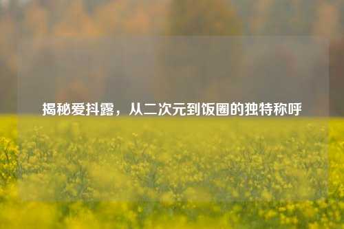 揭秘爱抖露,从二次元到饭圈的独特称呼