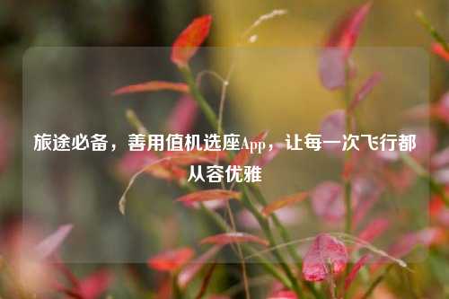 旅途必备,善用值机选座App,让每一次飞行都从容优雅