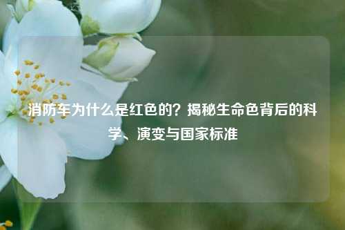消防车为什么是红色的?揭秘生命色背后的科学、演变与国家标准