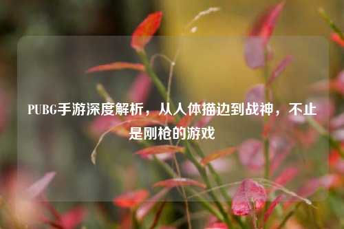 PUBG手游深度解析,从人体描边到战神,不止是刚枪的游戏