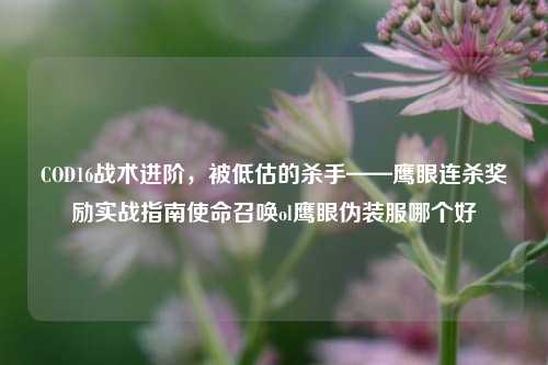 COD16战术进阶,被低估的杀手——鹰眼连杀奖励实战指南使命召唤ol鹰眼伪装服哪个好