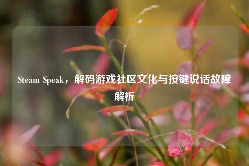 Steam Speak,解码游戏社区文化与按键说话故障解析