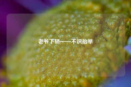 老爷下轿——不识抬举