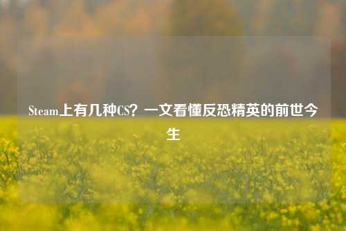 Steam上有几种CS?一文看懂反恐精英的前世今生