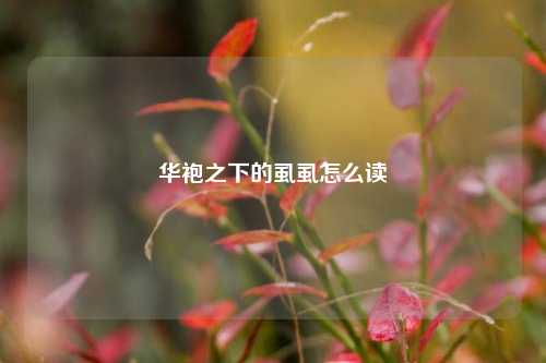 华袍之下的虱虱怎么读