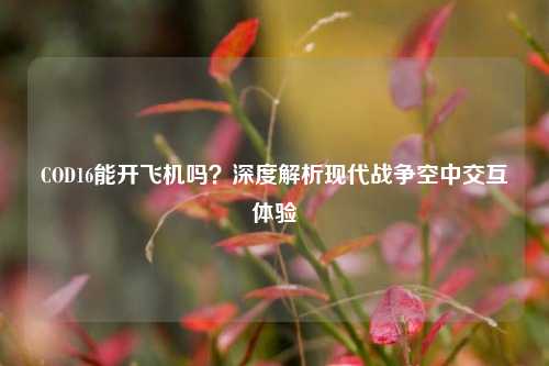 COD16能开飞机吗?深度解析现代战争空中交互体验