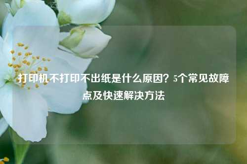 打印机不打印不出纸是什么原因?5个常见故障点及快速解决方法