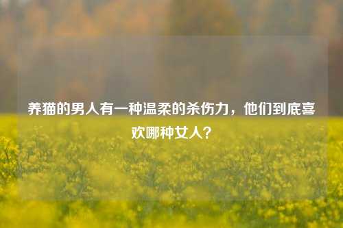 养猫的男人有一种温柔的杀伤力,他们到底喜欢哪种女人?