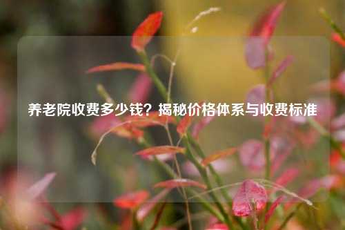 养老院收费多少钱?揭秘价格体系与收费标准