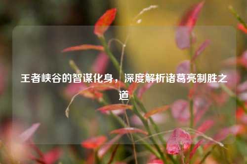 王者峡谷的智谋化身,深度解析诸葛亮制胜之道