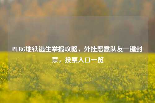 PUBG地铁逃生举报攻略,外挂恶意队友一键封禁,投票入口一览