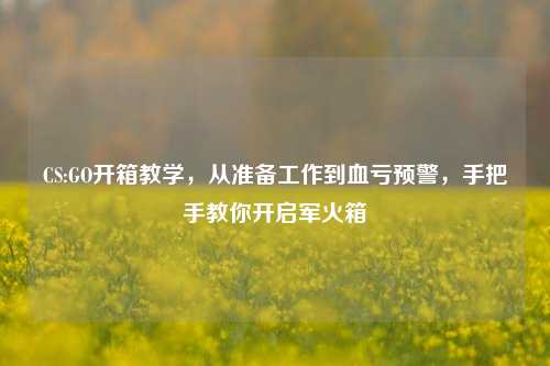 CS:GO开箱教学,从准备工作到血亏预警,手把手教你开启军火箱
