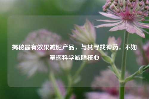 揭秘最有效果减肥产品,与其寻找神药,不如掌握科学减脂核心