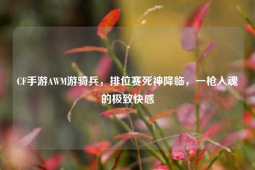 CF手游AWM游骑兵,排位赛死神降临,一枪入魂的极致快感