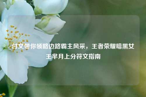 付文带你领略边路霸主风采,王者荣耀暗黑女王芈月上分符文指南